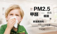 佛山辦公室除甲醛土方法 佛山新房除甲醛什么價格？