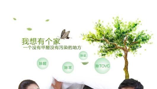 效果好、專業(yè)的光觸媒除甲醛產(chǎn)品有那些？